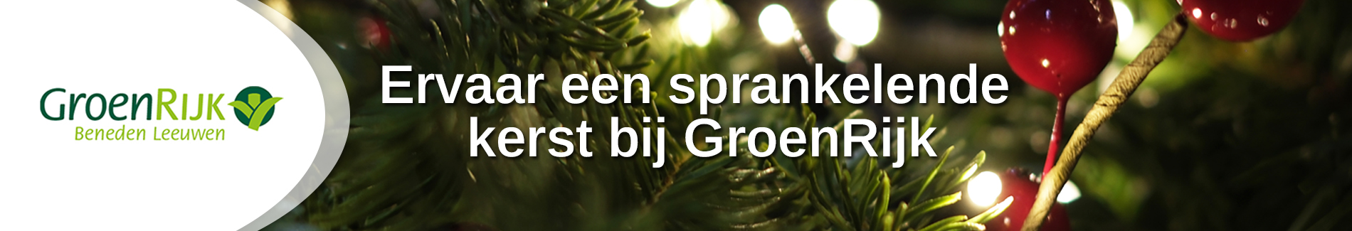 Banner GroenRijk kerstshow 2024 v2