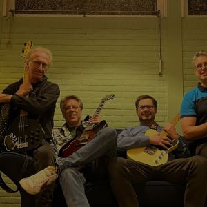 Banner Tweestromeland openluchtconcert