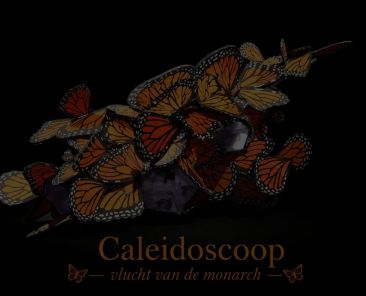 Caleidoscoop
